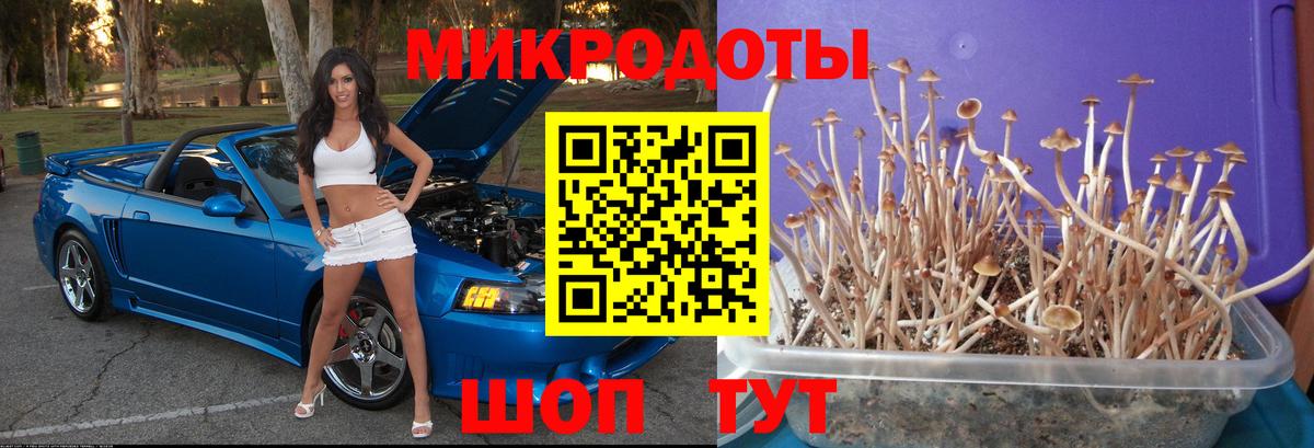 Псилоцибиновые грибы GOLDEN TEACHER  Вход с VPN  Ликино-Дулёво 
